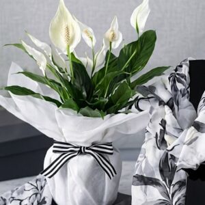 White Lily with Scarf and Choc Gift Set