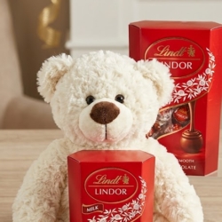 Teddy and Chocolate