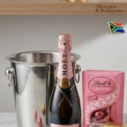 Moet Rose ice bucket