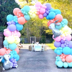 Balloon Arch